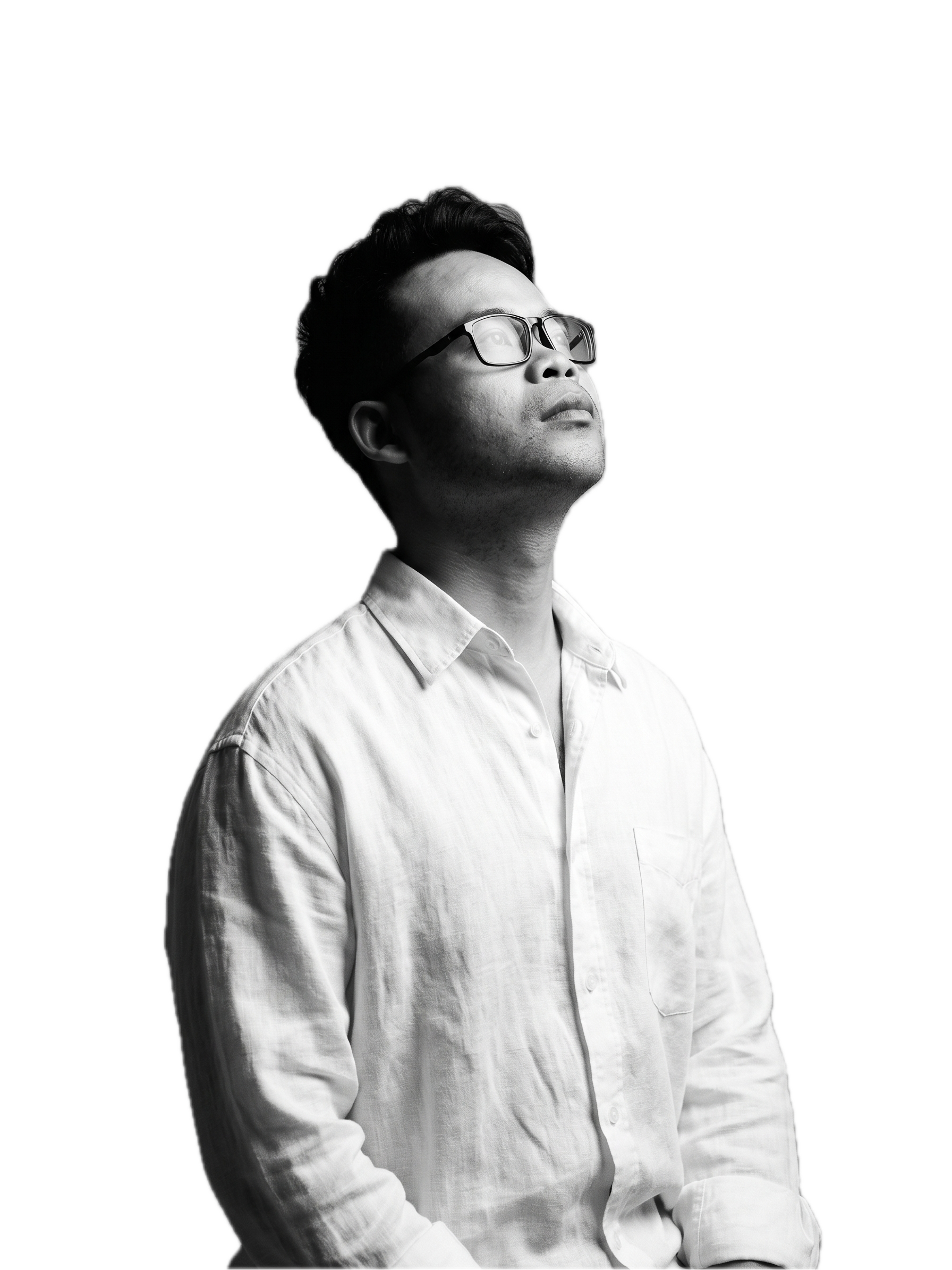 Chân dung Nguyễn Hồng Sơn