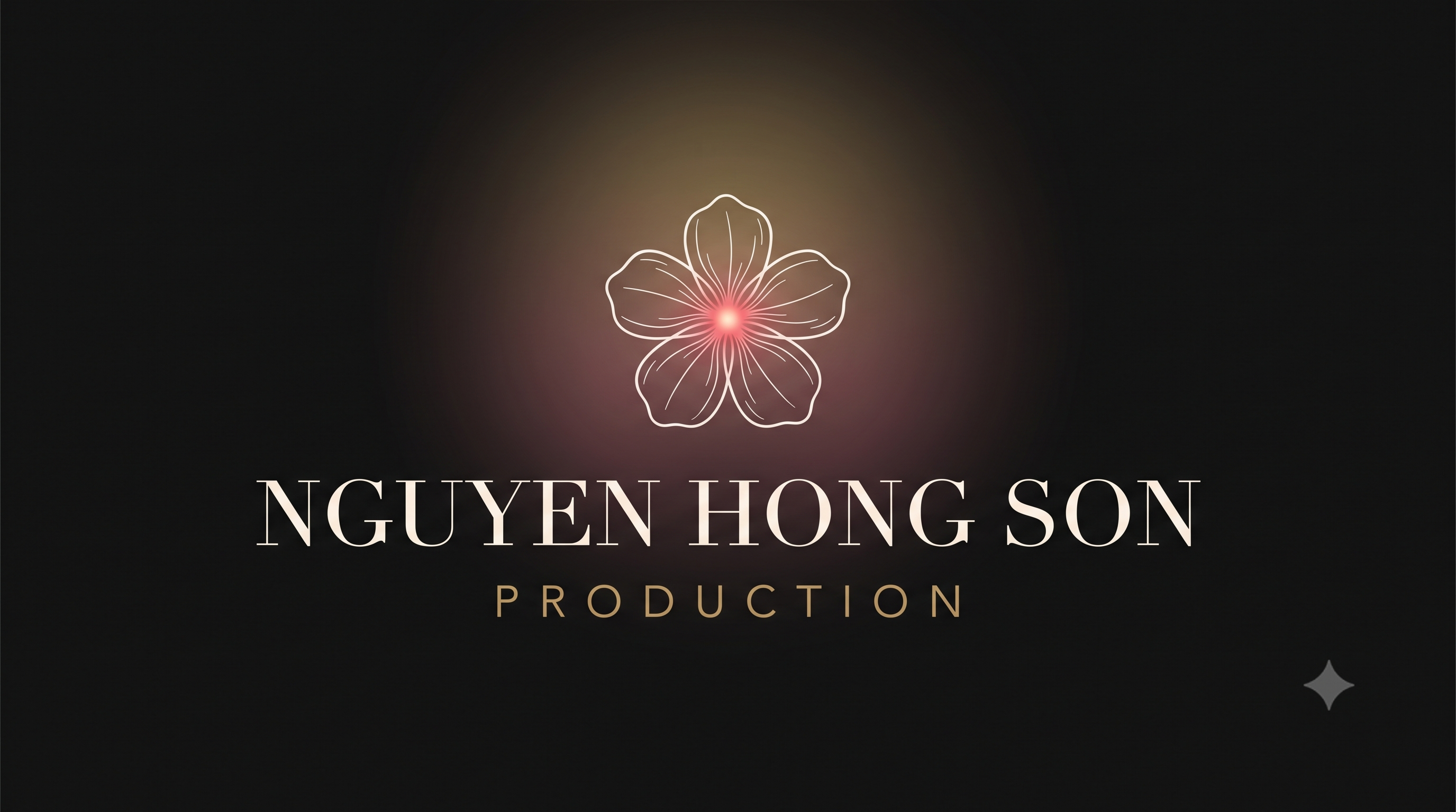 Nguyễn Hồng Sơn Logo